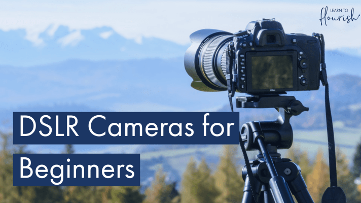 How To Use a DSLR Camera for Beginners