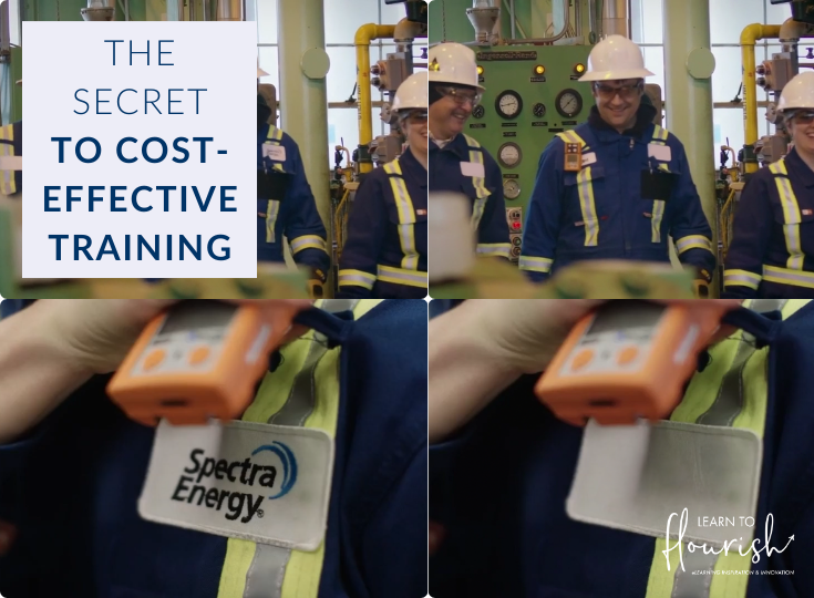 The Secret to Cost-Effective Online Training: Leveraging What You Already Have (and Where to Find More)